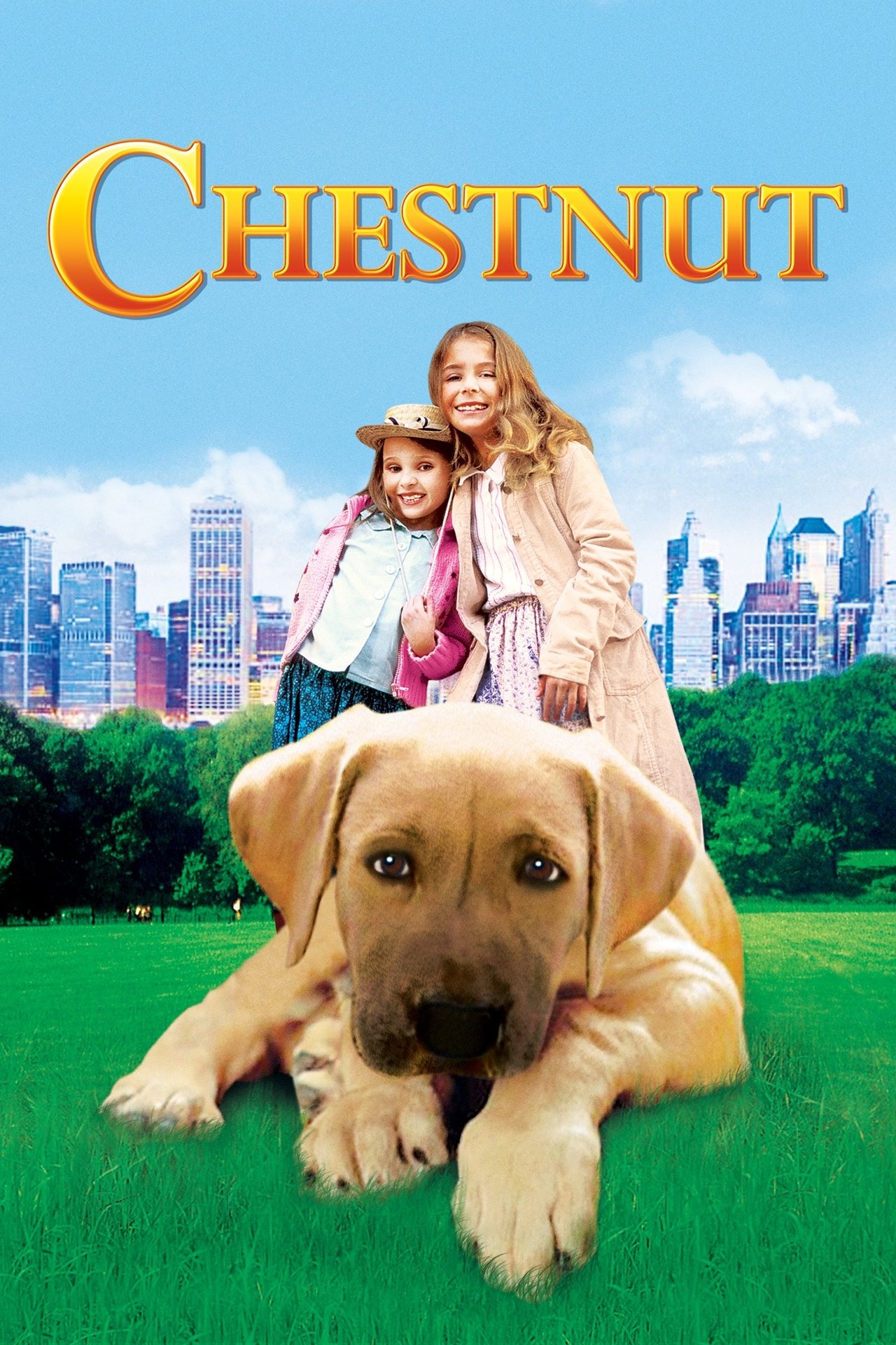 Cum să Ascunzi un Câine în New York (2004) – Dublat în Română